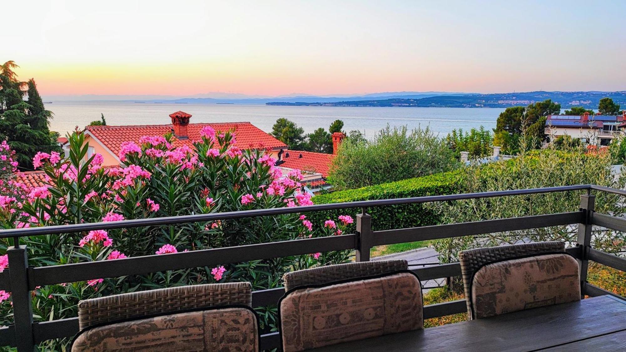 Bellavista Resort 科佩尔 外观 照片